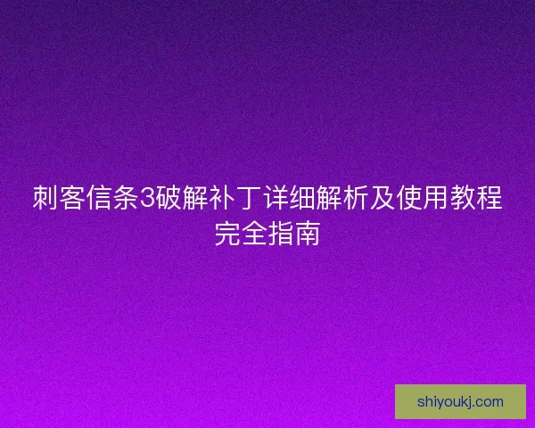 刺客信条3破解补丁详细解析及使用教程完全指南