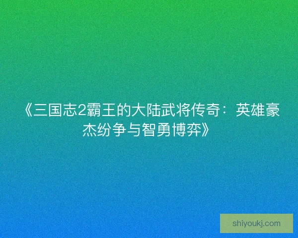 《三国志2霸王的大陆武将传奇：英雄豪杰纷争与智勇博弈》
